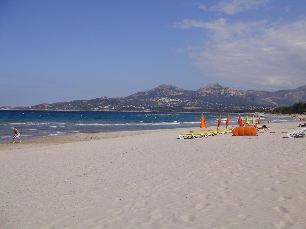 Appartement F1 Calvi A 150 Metres De La Plage Exteriér fotografie