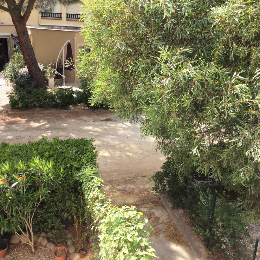 Appartement F1 Calvi A 150 Metres De La Plage Exteriér fotografie
